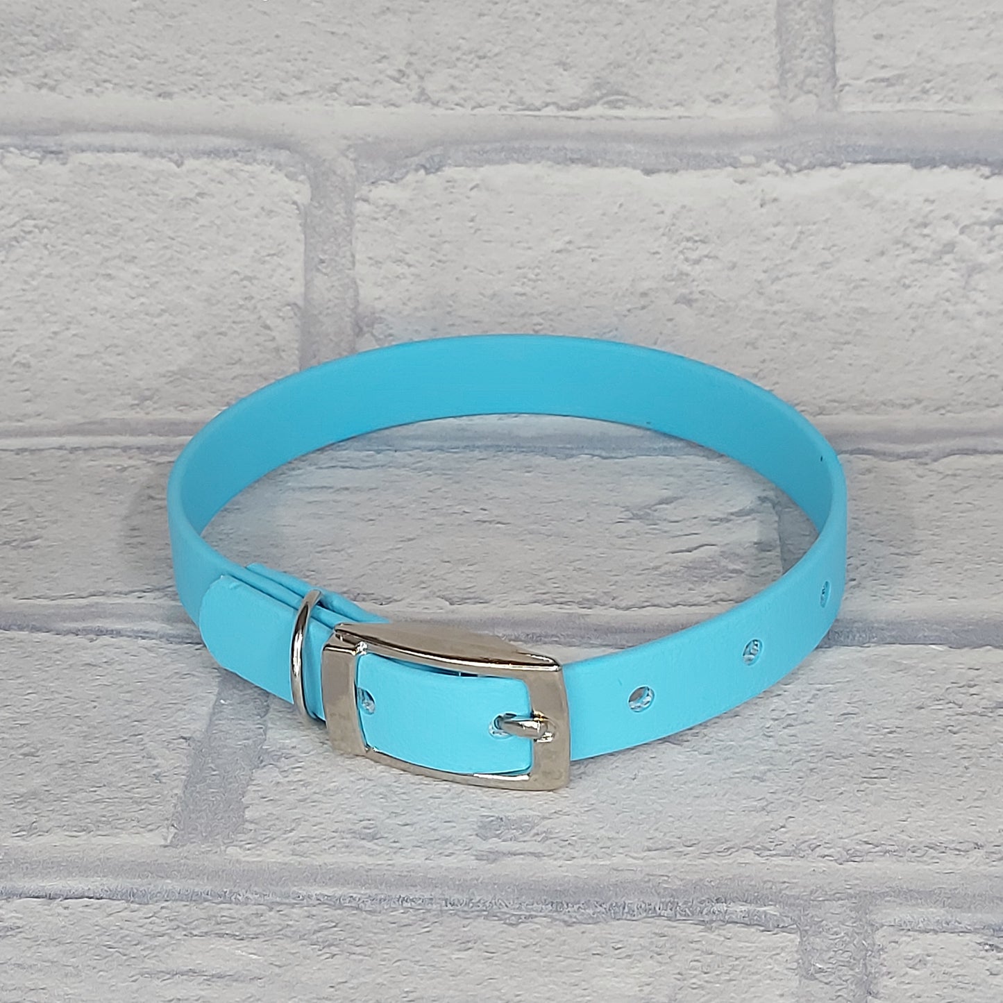 Biothane Collar Sky Blue / Silver Coloured hardware - Small