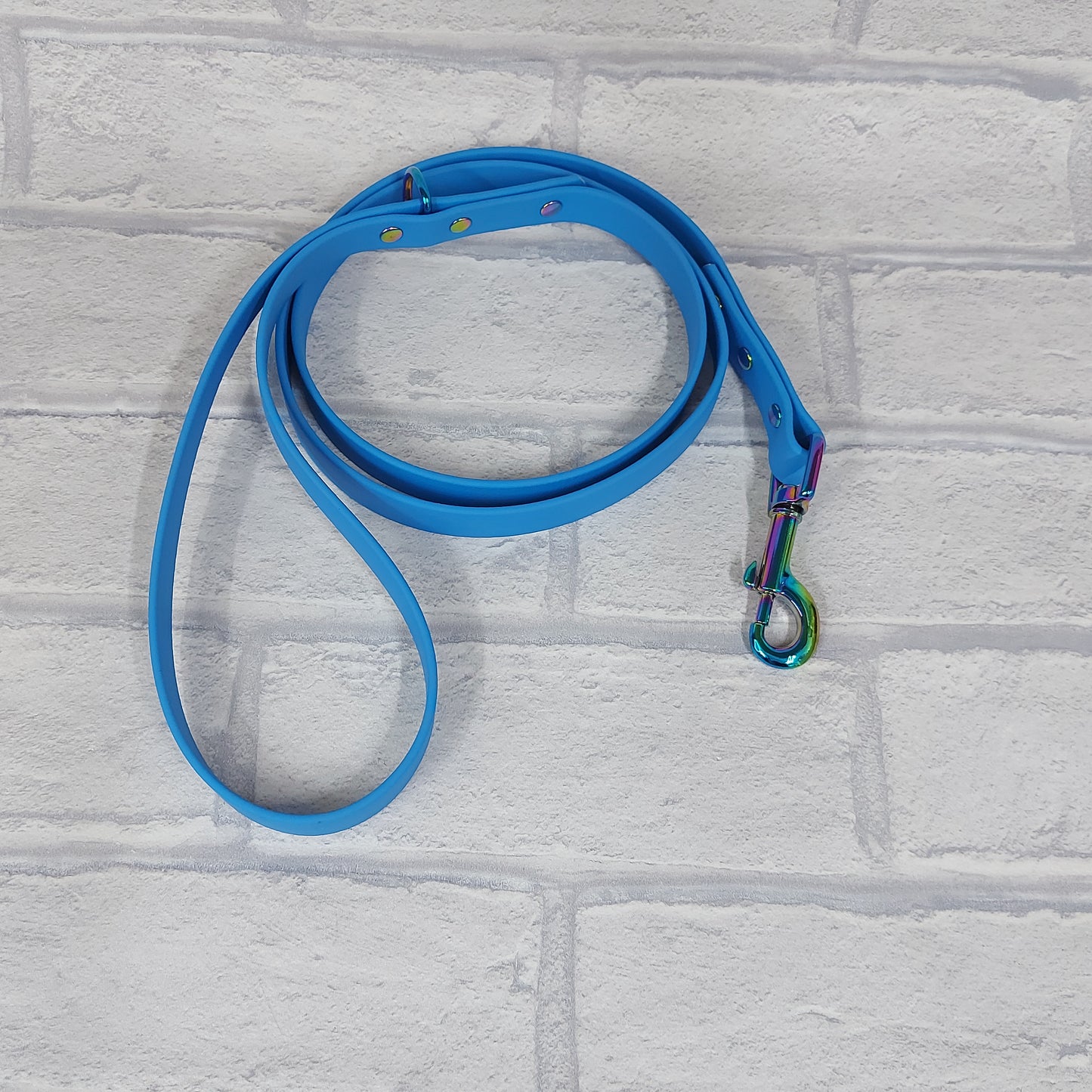 Biothane Lead Blue / Rainbow Coloured hardware -120cm