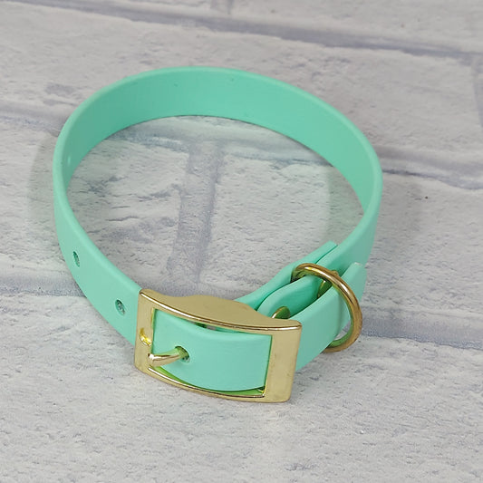 Biothane Collar Mint / Gold Coloured hardware -  X Small