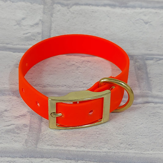 Biothane Collar Neon Orange / Gold Coloured hardware -  X Small wider