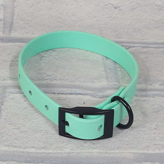 Biothane Collar  Mint /  Black Coloured hardware -  X Small