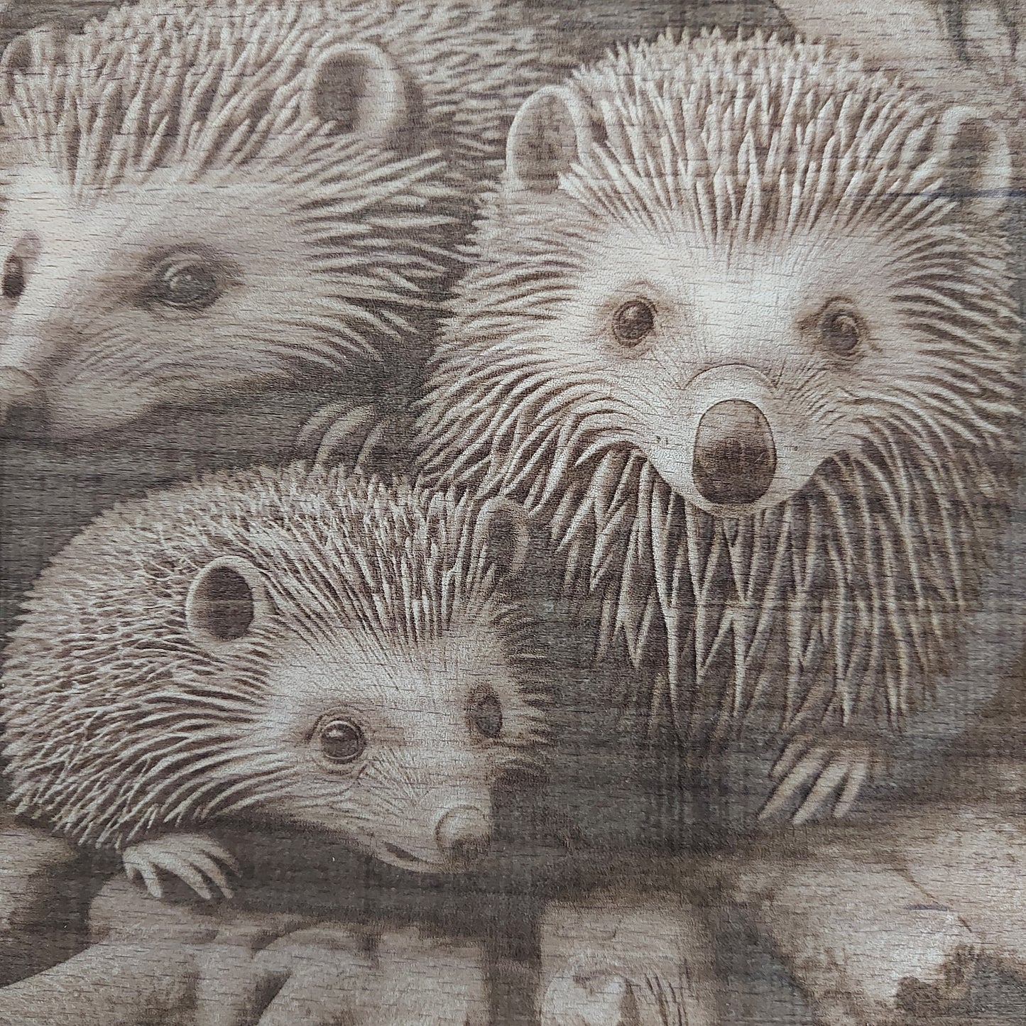 Large Beech Wood Chopping Board - Engraved 3D image of Hedgehog Family